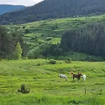 къща вира