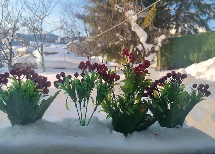 къща вира Holiday home *